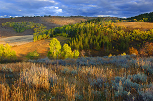 Grouse Creek hills 55